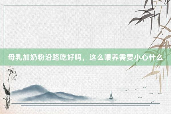 母乳加奶粉沿路吃好吗，这么喂养需要小心什么