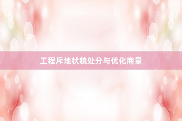 工程斥地状貌处分与优化商量